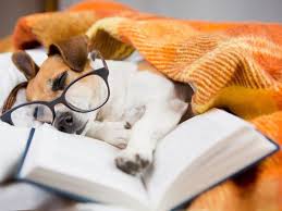 The History Of Puppies Puppets And Pupils Merriam Webster