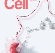 Cell Journal Cover Design Design Company - Sondii.com