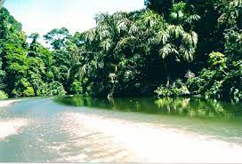 Costa Rica En Familia Con Catai Rutaenfamilia Com