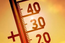 Canicule : la France vient d’égaler un record de chaleur vieux de 43 ans — Yahoo Life France