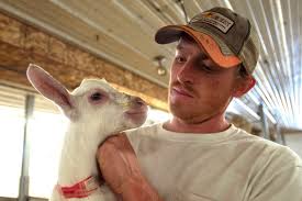 Something got your goat? This VT dairy farmer says goats beat cows.