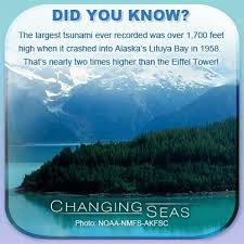 Alaska earthquake may have been most powerful in us in half a century; Did You Know The Largest Tsunami Ever Recorded Was Over 1 700 Feet High When It Crashed Into Alaska S Lituya Bay In 1958 That S Nearly Two Times Higher Than T