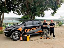Why you want pest control now. Termirite Pest Control Services Metro Manila Philippines Pest Termite Experts