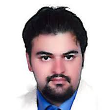 What is the optimization of dietary crude protein for growing ostrich  chicks?