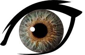 Best Brown Eyes Clipart 18281 Clipartion Com Eyes Clipart Light Background Images Png Images