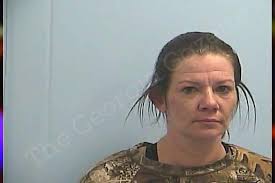Amanda Henning — Dawson County Jail Bookings