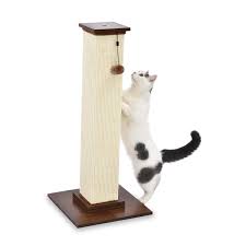 Enjoy free shipping and high quality. Cat Scratch Posts Trees Ramps