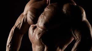 Adjust the pad so it sits snugly on your thighs to minimise movement. Train Lats For A Bigger Chest Generation Iron
