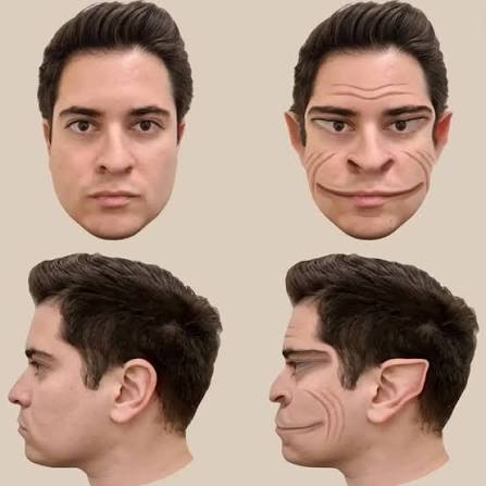 Can people with prosopagnosia remember their own faces?