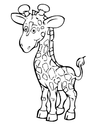 And giraffes, with their one of a kind appearance, are one of the most fascinating animals. Free Printable Giraffe Coloring Pages For Kids