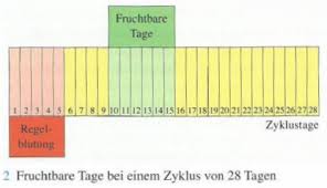 Gefahrliche Lehrinhalte Mfm Deutschland E V