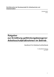 Stadt pforzheim sicherheitskonzept für mitarbeitende. Ratgeber Zur Ermittlung Gefahrdungsbezogener European Agency