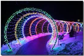 18 Favorite Photos From The Green Bay Botanical Gardens Festival Of Lights Digital Festival Lights Wedding Backdrop Decorations Beautiful Wedding Decorations