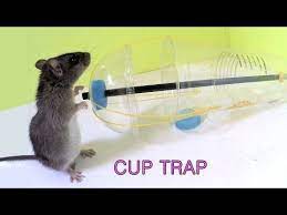 How To Make A Simple Coat Hanger Humane Mousetrap That Works Youtube Mouse Trap Diy Rat Traps Mouse Traps