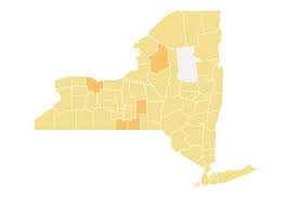 Chenango County New York Covid Case Tracker The New York Times