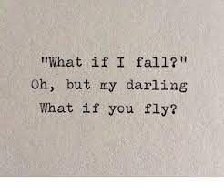 Oh, but my darling, what if you fly? What If I Fall Oh But My Darling What If You Fly Fall Meme On Me Me