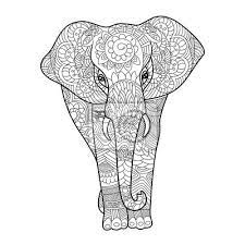 Malvorlagen für erwachsene jeden alters. Elefant Malbuch Fur Erwachsene Vektor Leinwandbilder Bilder Farben Schwarz Weiss Monochrome Myloview De