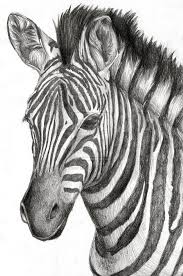 Zebra By Ilovedragons1 On Deviantart Pencil Drawings Of Animals Zebra Art Zebra Drawing