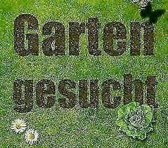 Ringstraße 13 16303 schwedt/oder 03332 8359368. Kleingarten In Schwedt Oder Ebay Kleinanzeigen