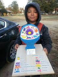 Maybe you would like to learn more about one of these? 14 Science Projects Ideas Science Projects Cells Project Edible Cell