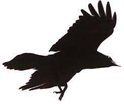 Gambar sketsa pemandangan hutan arsiran ini juga bisa anda tambahkan aksen hitam putih, sehingga disitu menampakkan karakter gambar yang nampak mistis dan penuh dengan keheningan. Paling Populer 19 Gambar Kartun Burung Gagak Gani Gambar