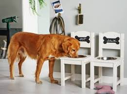 Who Let The Dogs Out This Diy Feeding Station Makes Your Animal Friend And Helper Happy And Well Fed Bosch Home Make Hundenapf Hundebett Diy Hundehaus Diy