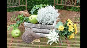 We did not find results for: Diy Herbstdeko Fur Garten Terrasse Und Euer Heim Decoration In Autumn Sehr Einfach Youtube