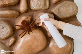 To use, shake well before each use and spray near doorways, windows, in closets, cabinets and anywhere spiders may be. Finally An Effective Natural Spider Repellent Spray