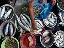 Boleh dimakan atau tidak boleh dimakan? Senarai Ikan Yang Boleh Dimakan Ketika Berpantang Kool Fm