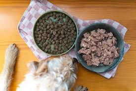 Harten trockenen stuhl abzusetzen ist schmerzhaft. Nassfutter Vs Trockenfutter Welches Futter Ist Fur Hunde Am Besten Tenetrio