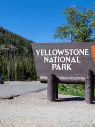 Pictures of yellowstone national park. Edmond Man Found Guilty Of Multiple Illegal Activities At Yellowstone National Park Kokh