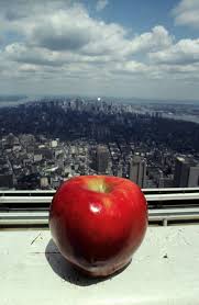 Free delivery with $50 purchase within hell's kitchen area. Big Apple Wikipedia