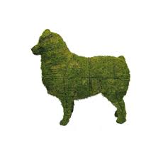500 x 375 jpeg 18kb. Green Piece Topiary Wire Art Australian Shepherd