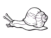 Silly snail coloring pages dinosaur coloring pages princess coloring pages spring coloring pages Snails Coloring Pages And Printable Activities