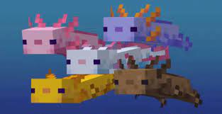 Browse and download minecraft axolotl texture packs by the planet minecraft community. Minecraft Axolotl Gif Minecraft Axolotl Axolotls Descubre Comparte Gifs