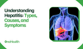 Image result for hepatitis symptoms