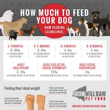 What to feed an underweight dog. Go Dog Food Feeding Guide Www Macj Com Br