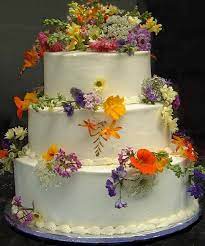 Cute Animals The Best Place For Animal Pictures Wedding Cakes With Flowers Wedding Cake Fresh Flowers Wildflower Cake
