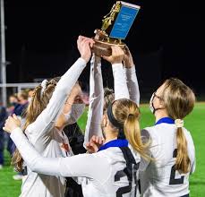 Image result for Tarenna leonardii