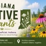 Native Plants in Indiana: Beauty, Benefits, and Biodiversity