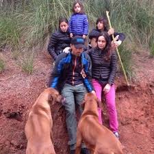 Le ciel s'est assombri pour luis enrique et son épouse elena cullell. Fcbarcelona Wags On Twitter Luis Enrique And Elena Cullel Have Three Children Together Pacho Sira And Xana Barcastuff Http T Co 2apme64ka6