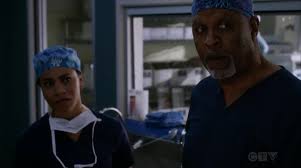 A medical based drama centered around meredith grey, an aspiring surgeon and daughter of one of the best surgeons, dr. Recap Of Grey S Anatomy Season 15 Recap Guide