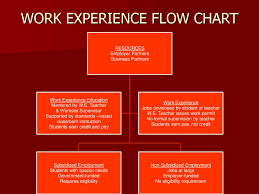 Work Experience Ppt Download
