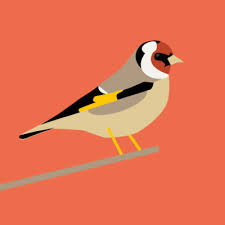 The best way to attract owls is to make your property as similar to their natural environment as possible. How To Attract Birds To Your Garden See Our Free Guide Perrywood