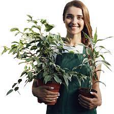 Profitieren sie von der erfahrung und der kreativität des erfahrenen unternehmens und setzen sie ihre gartenideen um! Garten Und Landschaftsbau Hannover Pm Haus Garten