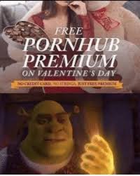 Pornhub has been banned from accepting payments over the visa and mastercard networks—a serious blow for a site that has come under increasing fire for failing to effectively filter harmful content. Free Pornhub Premium On Valentine S Day No Credit Card No Strings Just Free Premium Pornhub Meme On Me Me