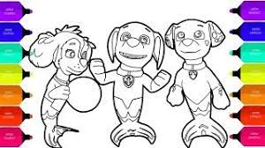 Immerse yourself in the world of roblox with the help of the popular piggy coloring pages from the game and get new emotions from. Paw Patrol Coloring Pages For Kids Pup Save Puplantis How To Draw Paw Pups For Kids Youtube