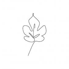 Drawing Continuous Lines Of Leaves With Simple Lines Design Vector Outline Png And Vector With Transparent Background For Free Download Simple Line Drawings Line Art Flowers Botanical Line Drawing