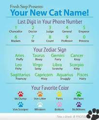 Pin By Charlene Nel On Funnies Cute Cat Names Names What Is Your Name