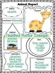 Animal Report Poster Form Animal Report Kindergarten Science Animal Adaptations
